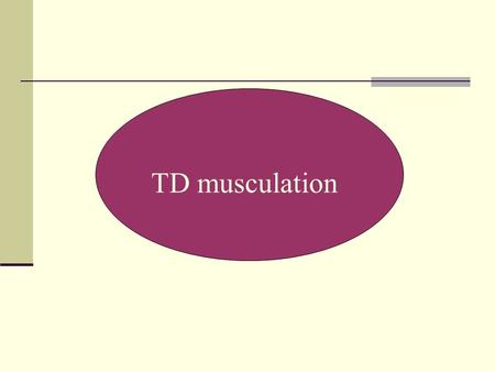 TD musculation.