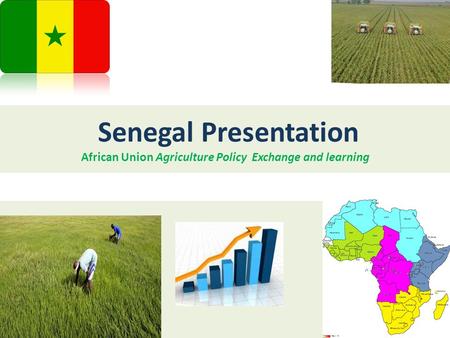 Senegal Presentation African Union Agriculture Policy Exchange and learning.