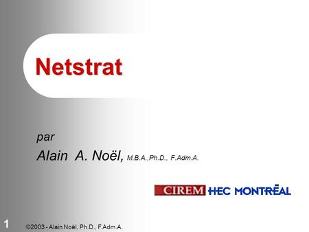©2003 - Alain Noël, Ph.D., F.Adm.A. 1 Netstrat par Alain A. Noël, M.B.A.,Ph.D., F.Adm.A.