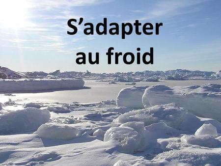 S’adapter au froid.