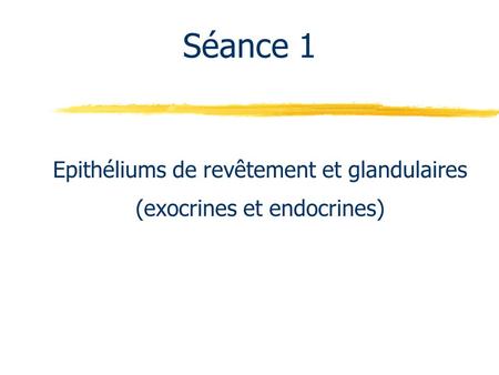 Epithéliums de revêtement et glandulaires (exocrines et endocrines)
