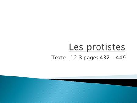 Les protistes Texte : 12.3 pages 432 - 449.