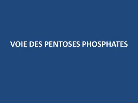 VOIE DES PENTOSES PHOSPHATES. PLAN I/ INTRODUCTION II/ INTERET BIOMEDICAL III/ REACTIONS DE LA VOIE DES PENTOSES PHOSPHATES A/ Phase oxydative: 1/ Première.
