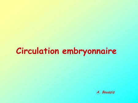 Circulation embryonnaire