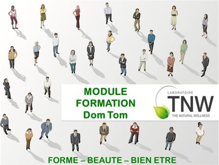 MODULE FORMATION Dom Tom