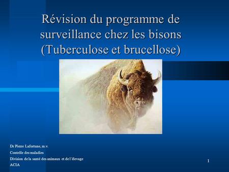 1 Révision du programme de surveillance chez les bisons (Tuberculose et brucellose) Dr Pierre Lafortune, m.v. Contrôle des maladies Division de la santé