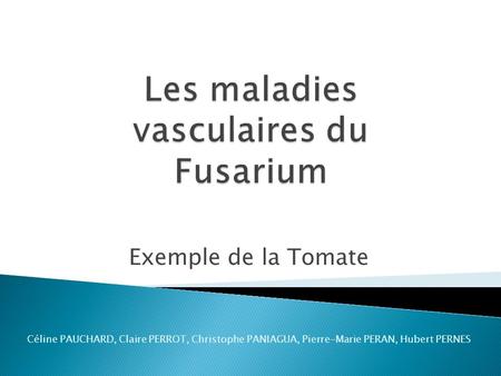 Les maladies vasculaires du Fusarium