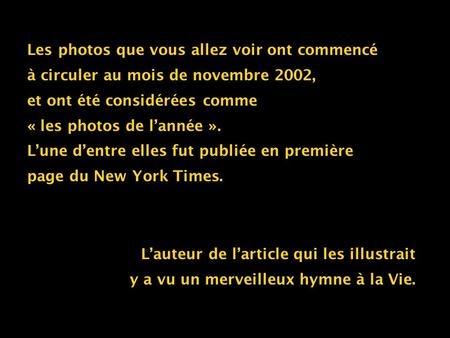 Les photos que vous allez voir ont commencé à circuler au mois de novembre 2002, et ont été considérées comme « les photos de lannée ». Lune dentre elles.