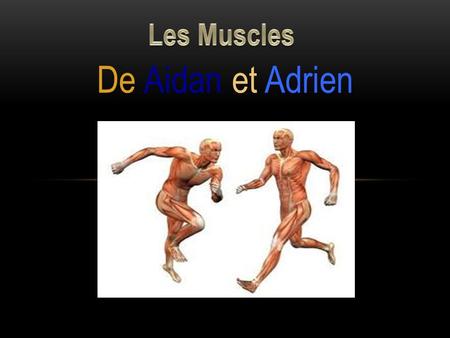 Les Muscles De Aidan et Adrien.
