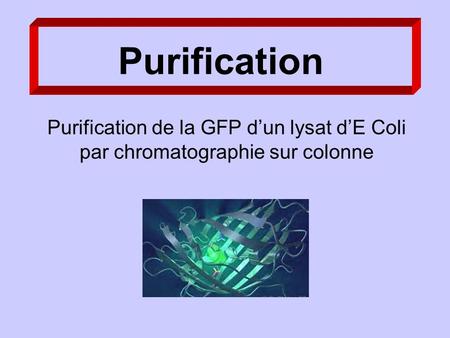Purification Purification de la GFP dun lysat dE Coli par chromatographie sur colonne.