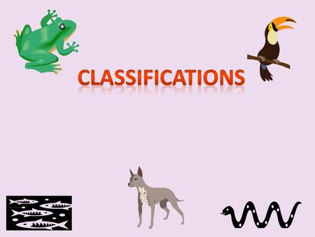 Classifications.