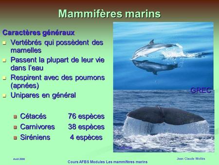 Cours AFBS Modules Les mammifères marins