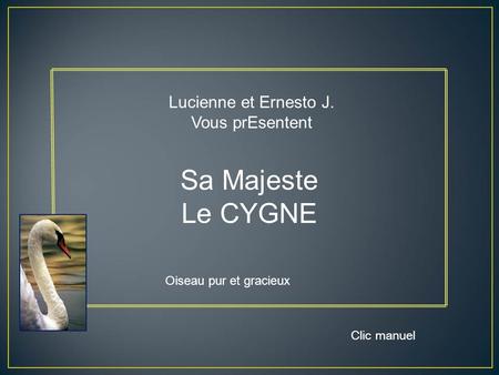 Sa Majeste Le CYGNE Lucienne et Ernesto J. Vous prEsentent