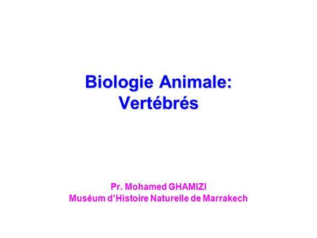 Biologie Animale: Vertébrés