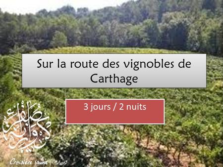Sur la route des vignobles de Carthage