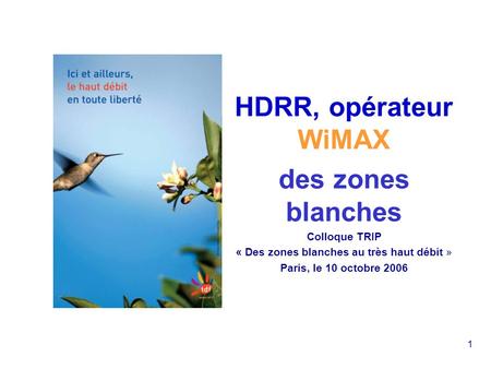 1 HDRR, opérateur WiMAX des zones blanches Colloque TRIP « Des zones blanches au très haut débit » Paris, le 10 octobre 2006.