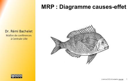 MRP : Diagramme causes-effet