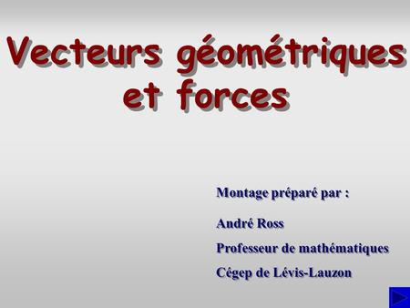Vecteurs géométriques et forces