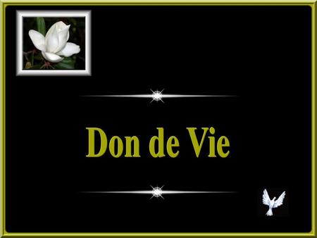 Don de Vie.