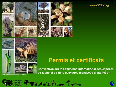 1 Permis et certificats www.CITES.org © Copyright Secrétariat CITES 2005 Convention sur le commerce international des espèces de faune et de flore sauvages.