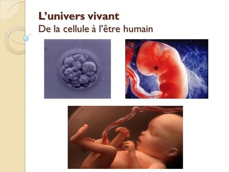 L’univers vivant De la cellule à l’être humain