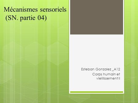 Mécanismes sensoriels (SN. partie 04)