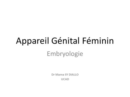 Appareil Génital Féminin