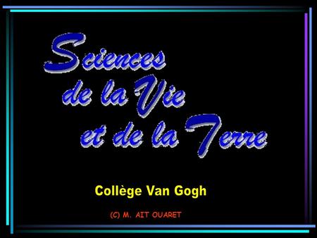 Collège Van Gogh (C) M. AIT OUARET.