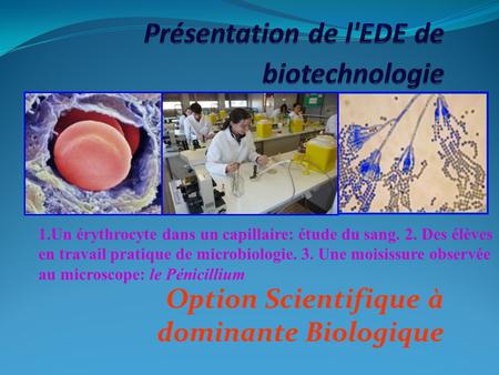 Présentation de l'EDE de biotechnologie
