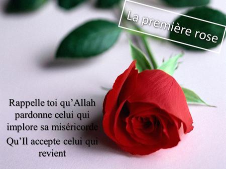 La première rose Rappelle toi qu’Allah pardonne celui qui implore sa miséricorde Qu’Il accepte celui qui revient.