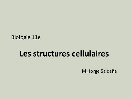 Les structures cellulaires