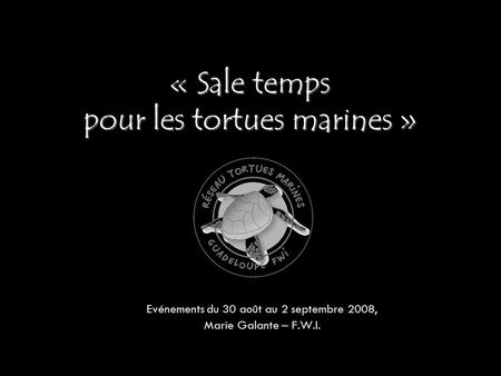 « Sale temps pour les tortues marines » Evénements du 30 août au 2 septembre 2008, Marie Galante – F.W.I.