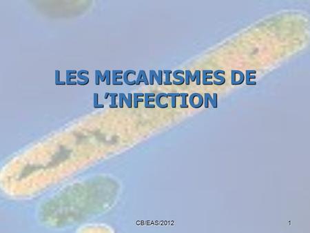 LES MECANISMES DE L’INFECTION