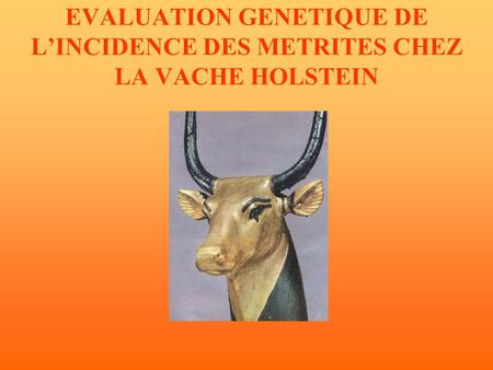 EVALUATION GENETIQUE DE LINCIDENCE DES METRITES CHEZ LA VACHE HOLSTEIN.