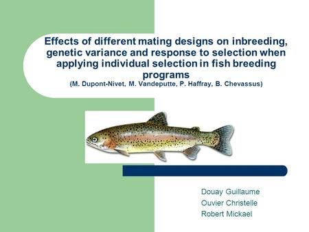 Effects of different mating designs on inbreeding, genetic variance and response to selection when applying individual selection in fish breeding programs.
