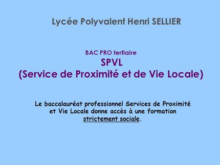 BAC PRO tertiaire SPVL (Service de Proximité et de Vie Locale)