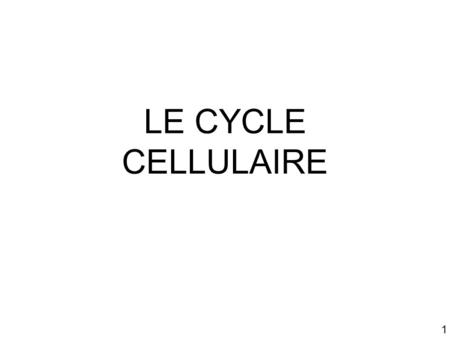 Mardi 23 janvier 2007 LE CYCLE CELLULAIRE.