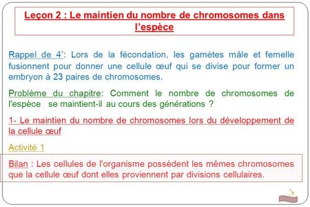 Leçon 2 : Le maintien du nombre de chromosomes dans l’espèce