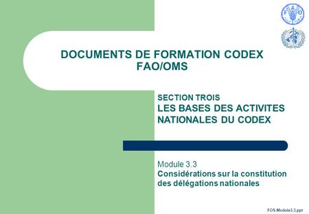 DOCUMENTS DE FORMATION CODEX FAO/OMS SECTION TROIS LES BASES DES ACTIVITES NATIONALES DU CODEX Module 3.3 Considérations sur la constitution des délégations.