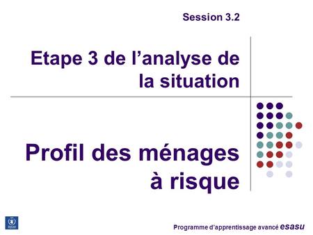 Programme dapprentissage avancé esasu Session 3.2 Etape 3 de lanalyse de la situation Profil des ménages à risque.