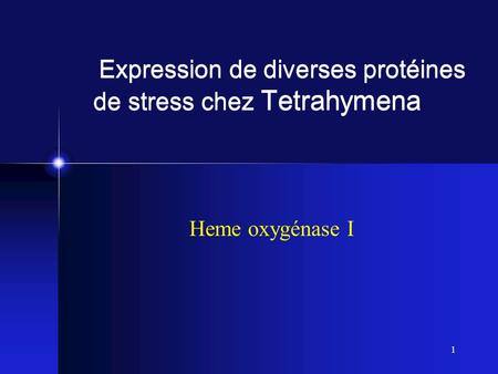 Expression de diverses protéines de stress chez Tetrahymena