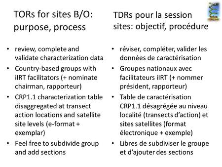 TORs for sites B/O: purpose, process review, complete and validate characterization data Country-based groups with iIRT facilitators (+ nominate chairman,