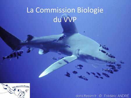 La Commission Biologie du VVP