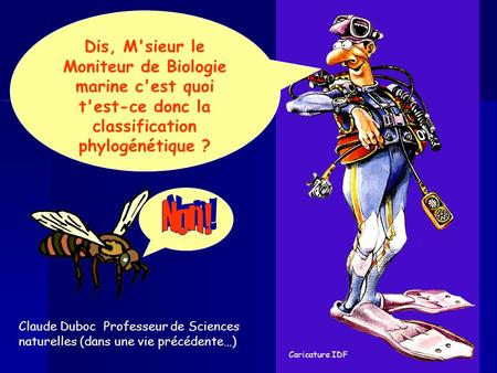 Caricature IDF Dis, M'sieur le Moniteur de Biologie marine c'est quoi t'est-ce donc la classification phylogénétique ? Non ! Claude Duboc Professeur de.