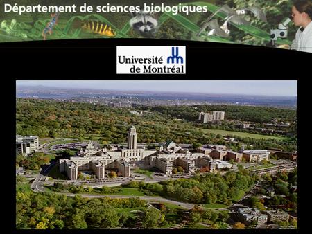 L’Université de Montréal est