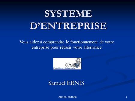 SYSTEME D’ENTREPRISE Samuel ERNIS