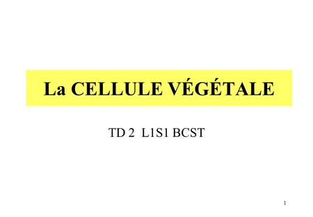 La CELLULE VÉGÉTALE TD 2 L1S1 BCST.