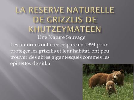 Une Nature Sauvage Les autorites ont cree ce parc en 1994 pour proteger les grizzlis et leur habitat. ont peu trouver des abres gigantesques commes les.