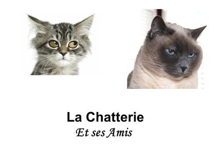 La Chatterie Et ses Amis.
