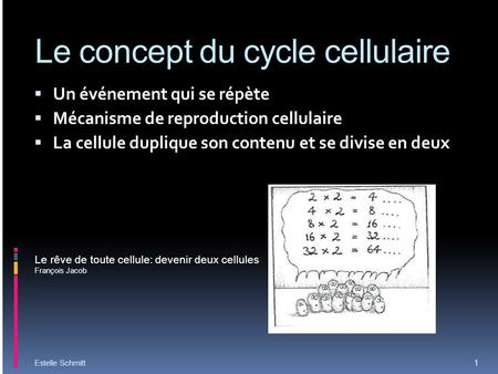 Le concept du cycle cellulaire